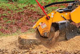 Best Stump Grinding and Removal  in Lincolndale, NY